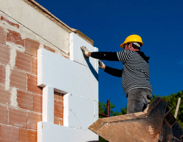Best Residential Insulation in Shelby, MS