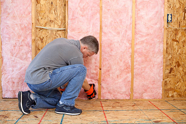 Best Commercial Insulation in Shelby, MS