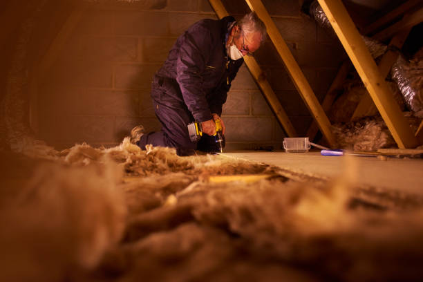 Best Specialty Insulation in Shelby, MS